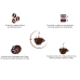 Chocolate Coffee Decoction